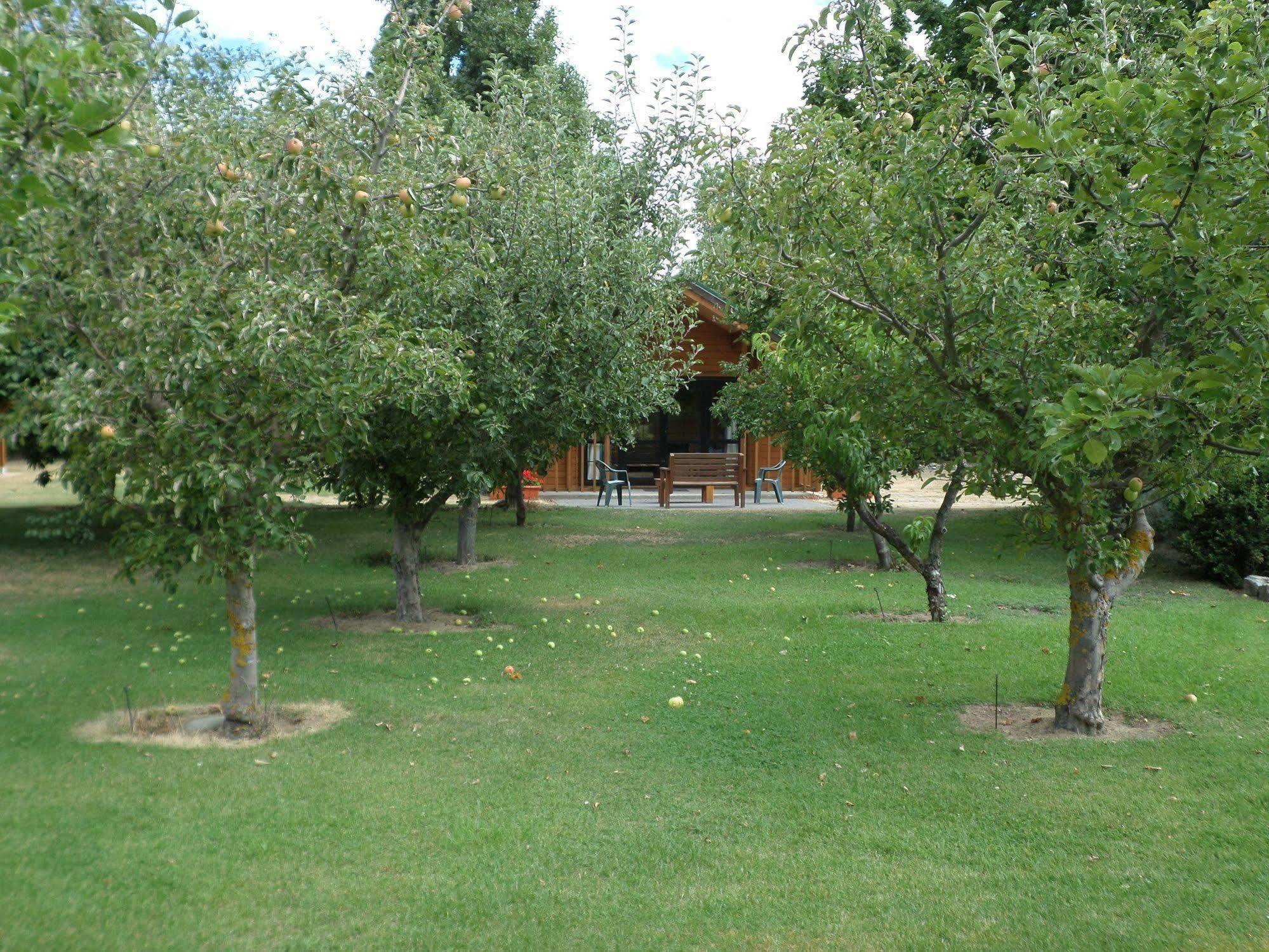 Central Chalets Ltd Александра Экстерьер фото